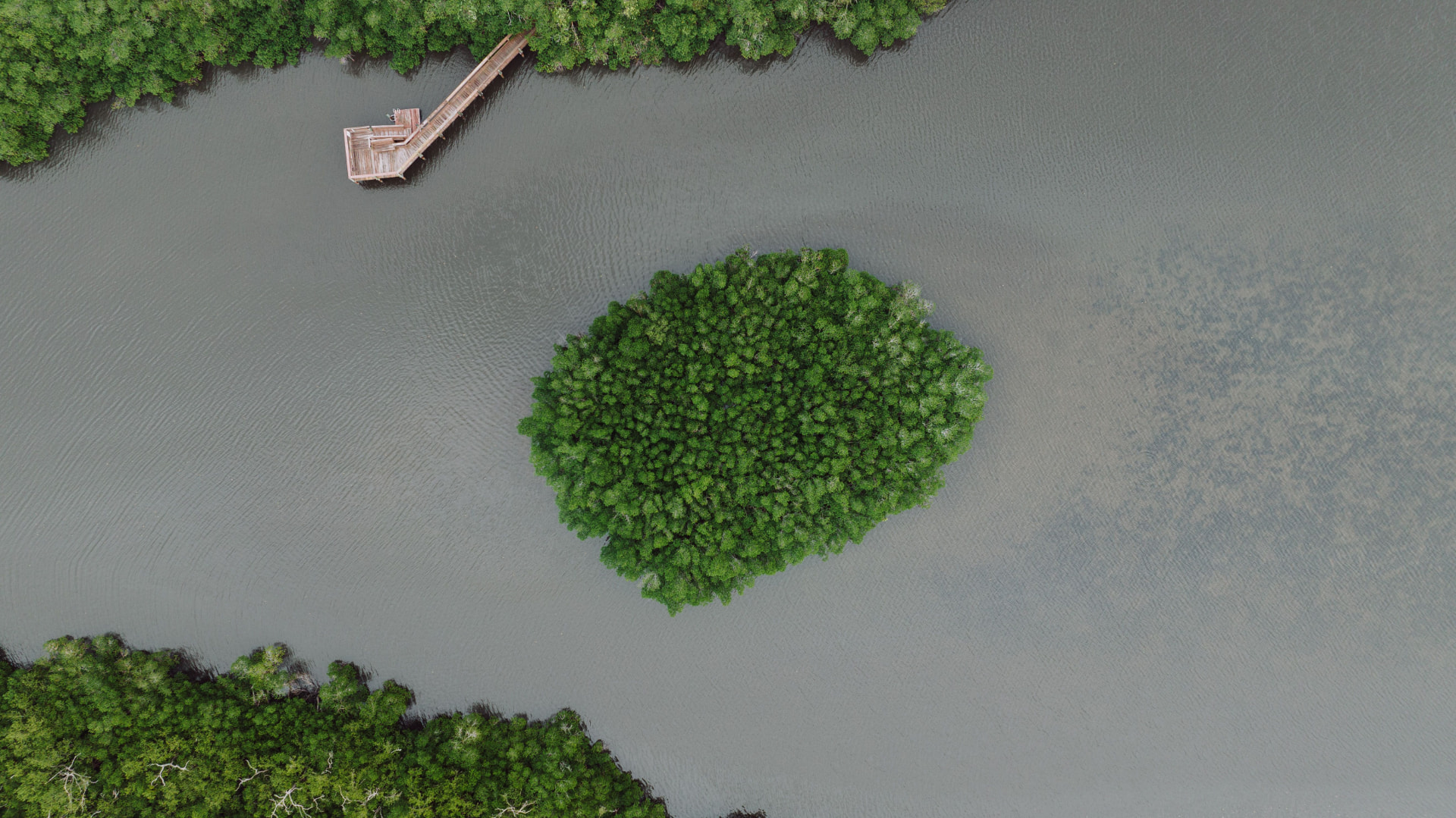 En lille grøn mangroveø omgivet af vand med en træbro fra bredden